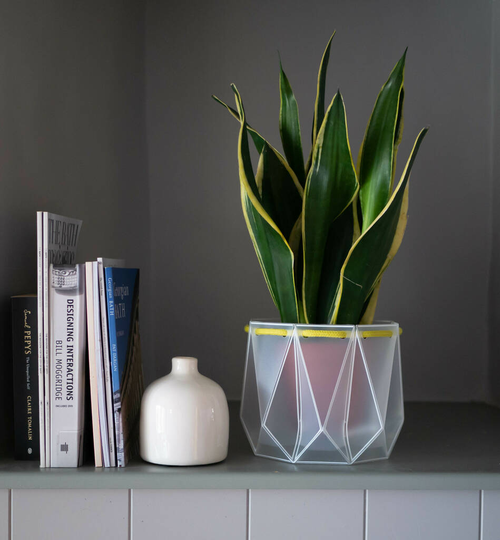 Origami Self Watering Eco Plant Pot: 18cm - Celery Cord