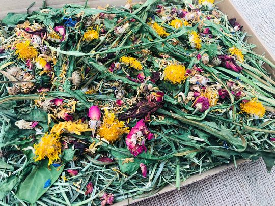 100G A4 Extra Large Botanical Letter Box Forage Of Dandelion Leaves & Flowers. For Rabbits, Guinea Pigs Most Other Small Animals