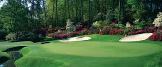 Gold Glove Bermuda Grass Seed/Per Pound
