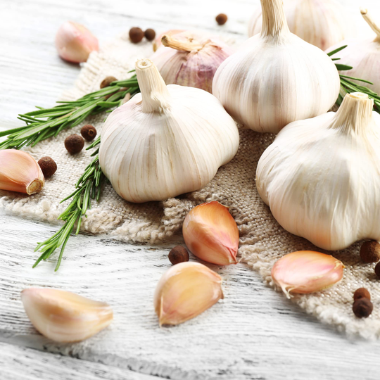 French Garlic Set Grow Your Own Garlic Three Bulb Set