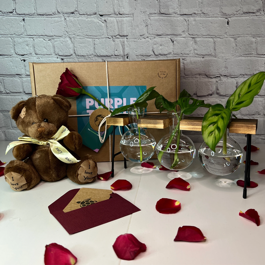 Plant Anniversary Gift Box + Card & Teddy | Gifts For Her Care Package Engagement Propagation Stand