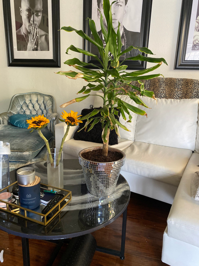 Large Gardening Disco Ball Pot