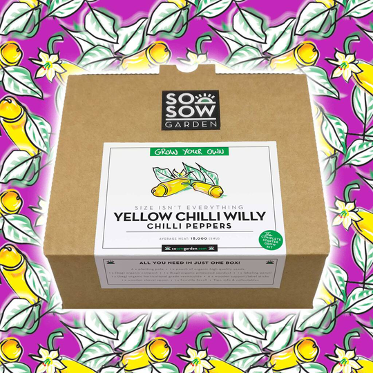 Yellow Chilli Willy Chilli Pepper Grow Your Own Kit