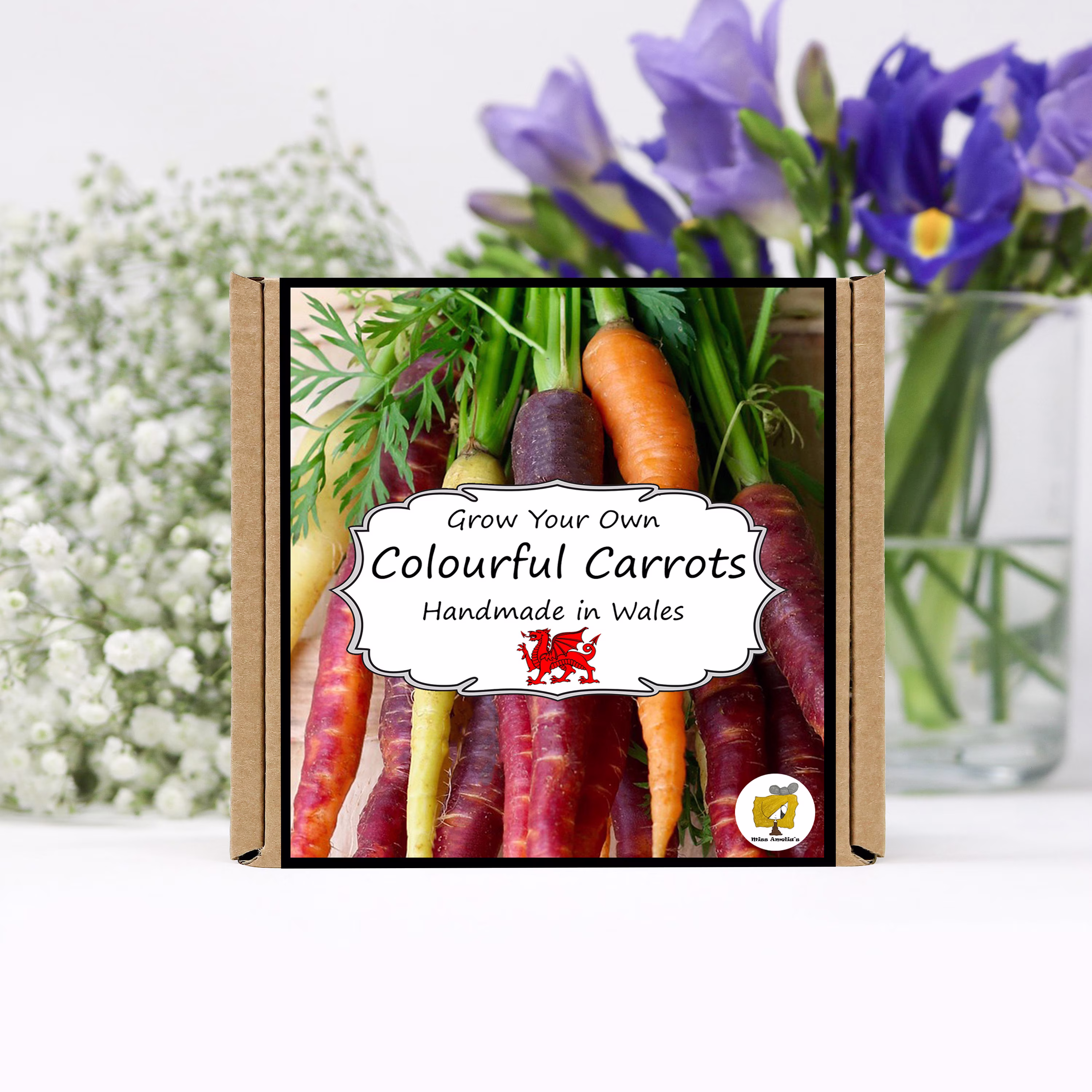 Grow Your Own Rainbow Carrot Vegetables Kit. Carrot Seeds Growing Kit