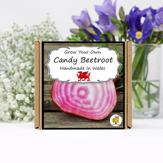 Grow Your Own Vegetables Kit / Candy Striped Beetroot