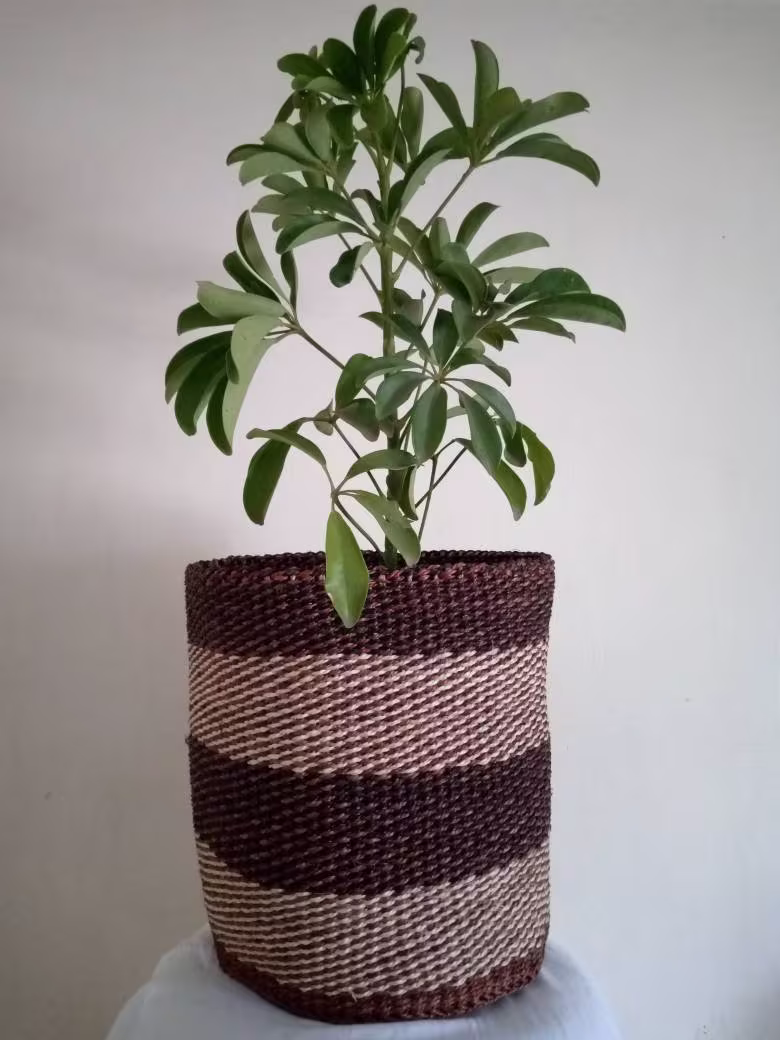 Sisal Woven Planters, Woven Basket, Succulent Planters , Sisal Toy Storage Decorative Handmade Boho Planter