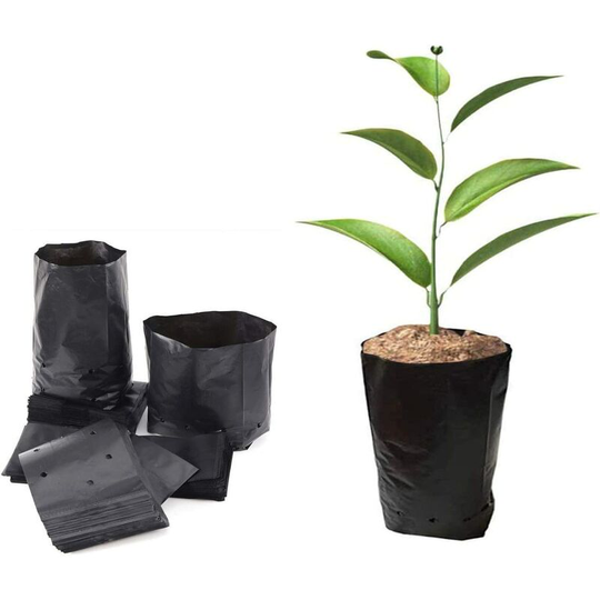 Wall Planter Bag, 6 Breathable Pockets Wall Hanging Grow Bag, Vertical Planter Bags Non Woven Garden Plant Bag Plant Bag for Flowers, Home, Indoor