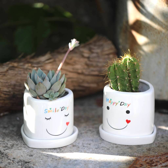 Happy Day Smile Day Planter