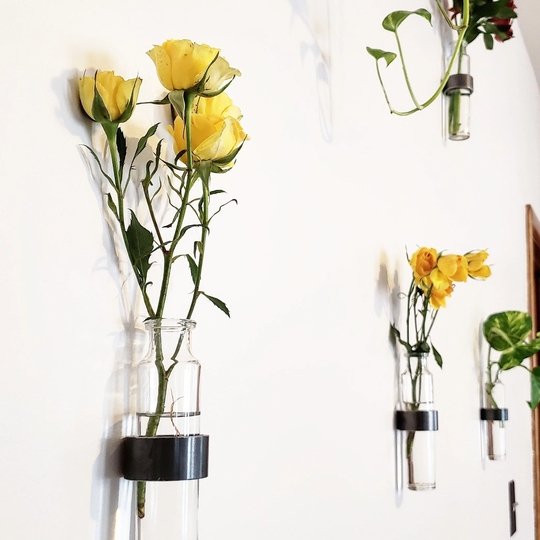 Hanging Vase, Wall Glass Mount Propagation Plant Wall Decor, Living Wall, Rooting