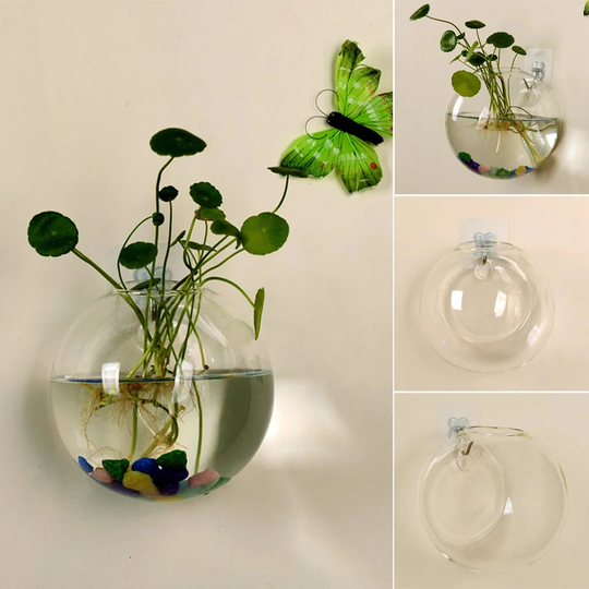 Bubble Vase | Wall Planter Hydroponic Terrarium Flower