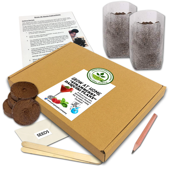 Grow Your Own Strawberry Daiquiri | Strawberry & Mint Kit | Flat Pack At Home - Ideal Birthday Gift, Great Fathers Day Gift