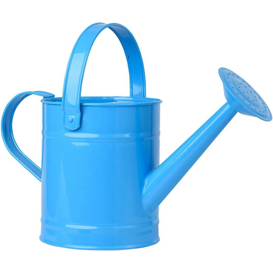 Gdrhvfd - 1.5L Metal Watering Can - Kids Outdoor Watering Bucket - Small Portable Indoor Watering Equipment with Anti-Rust Powder Coating - Blue