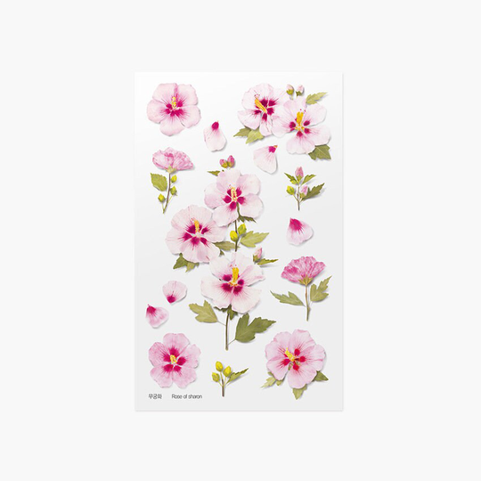 Appree Pressed Flower Sticker - Rose Of Sharon