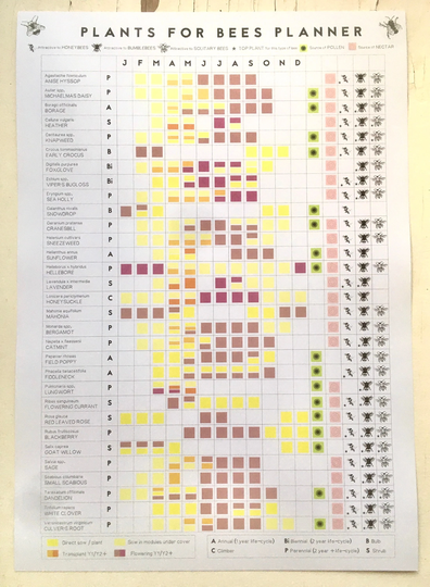A3 Plants For Bees Poster // Pollinator Planner Garden Plants Wildlife