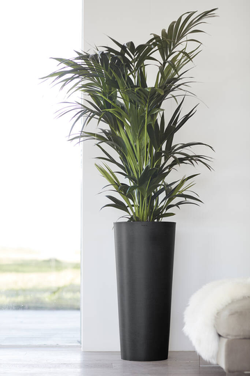 Ecopots Amsterdam High Pot Made From Recycled Plastic