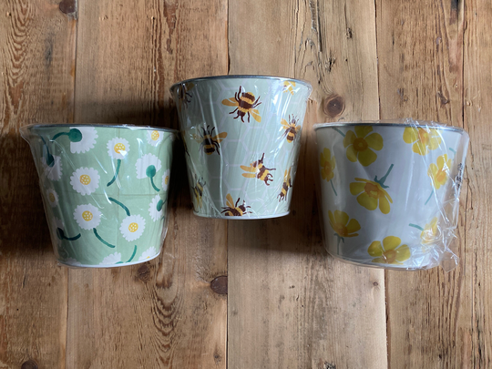Emma Bridgewater Set Of 3 Buttercup Plant Pots
