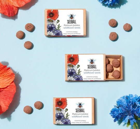 Jubilee Celebration Wildflower Seeds