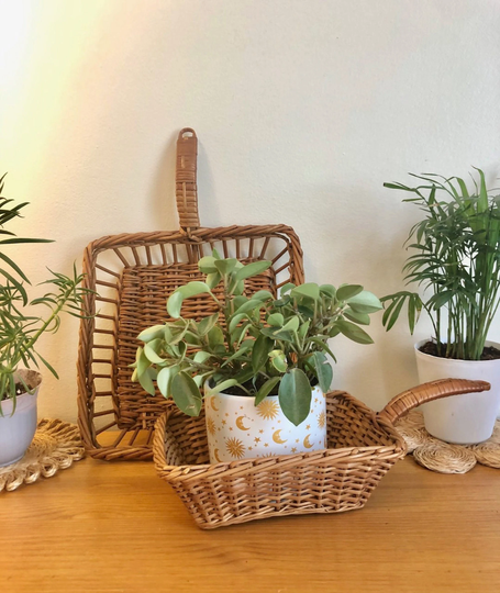 Wicker Baskets, S/2