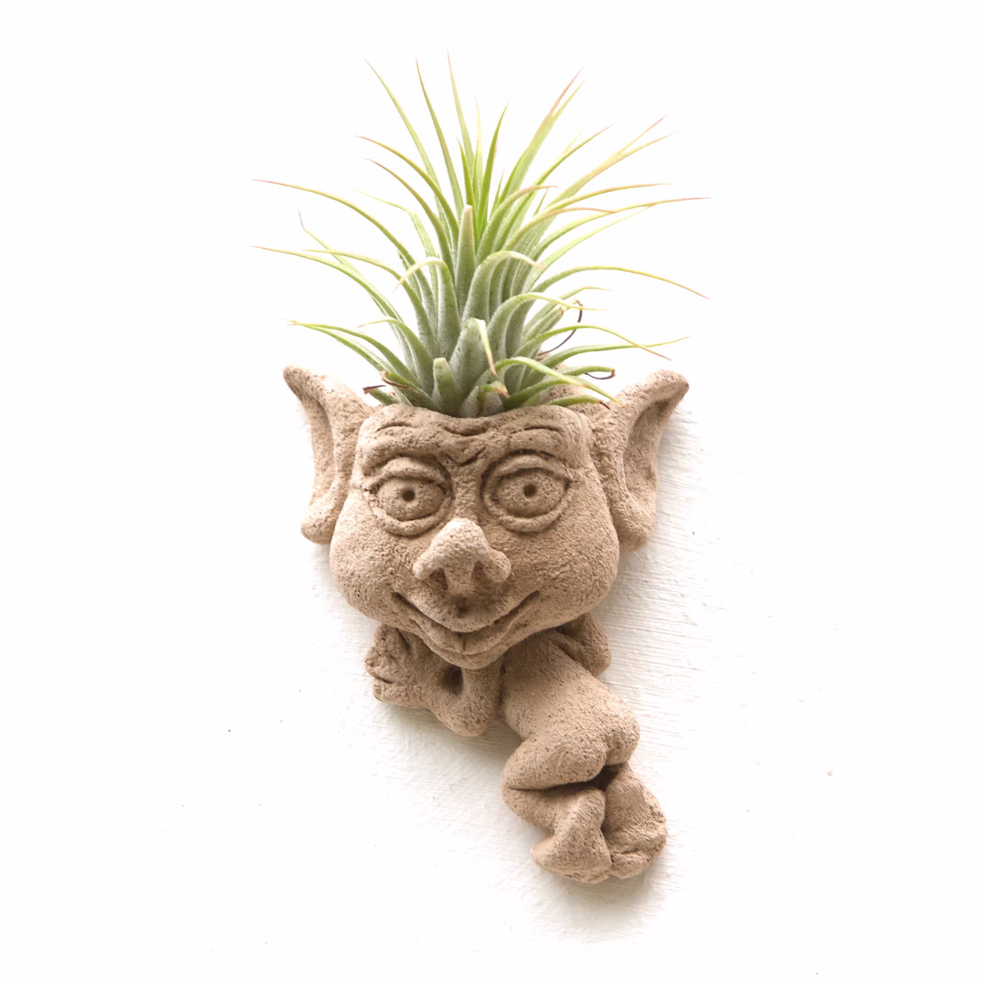 Cheeky Creeper Airplant Holder, Air Plant Planter, Sculpture, Stone Wall Hanging, Big Creeper