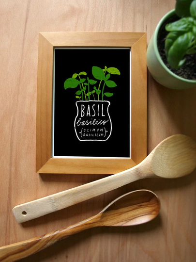 Basil Herb Print - Mediterranean Garden Art High Quality Fine Art Print
