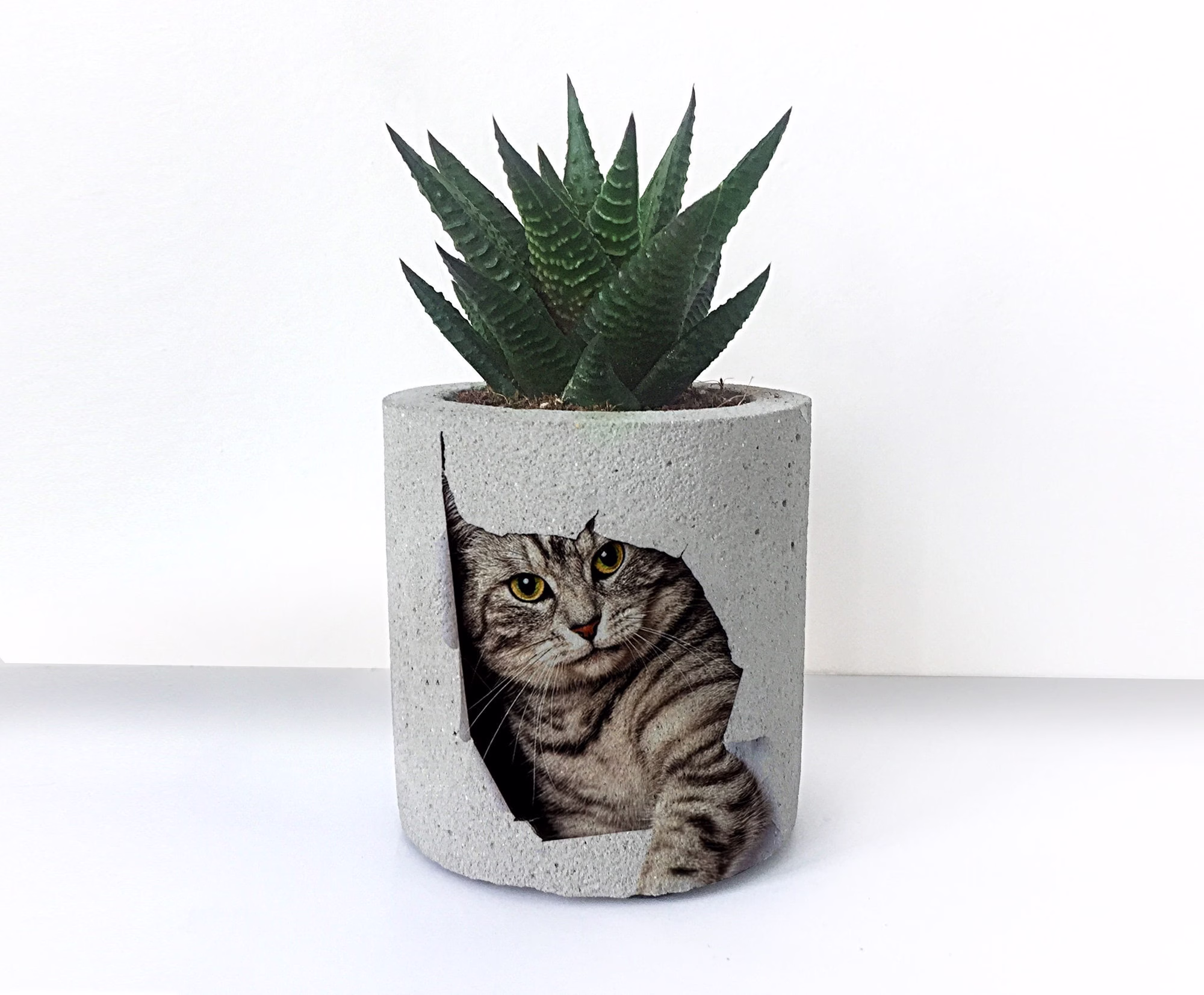 Cat Printed Concrete Planter, Unique Gift, Cactus Holder, Succulent Pots, Air Plant Lovers Gifts, Gift For Him, Planters