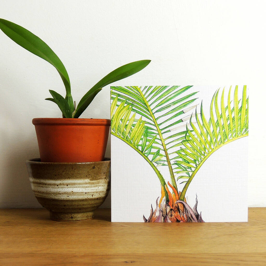 Sago Palm Greetings Card