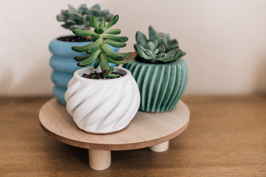 Spiral Planter For Succulents | Small 2.5 Inch, Colorful Cute Swirl Concrete Planter, Small Plant Pot, Gift For Lover