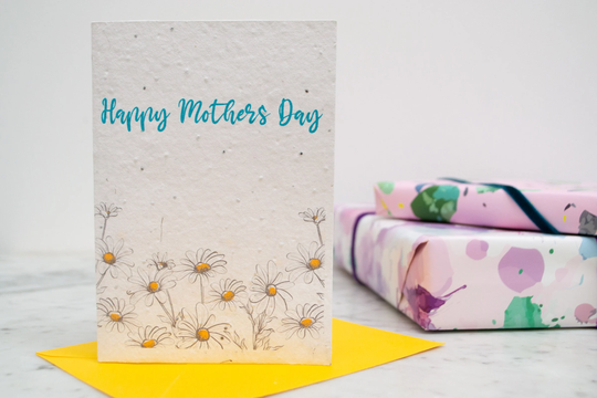 Mothers Day Plantable Daisy Seed Paper Card, Eco Growable Wildflowers Seedpaper Flower Card