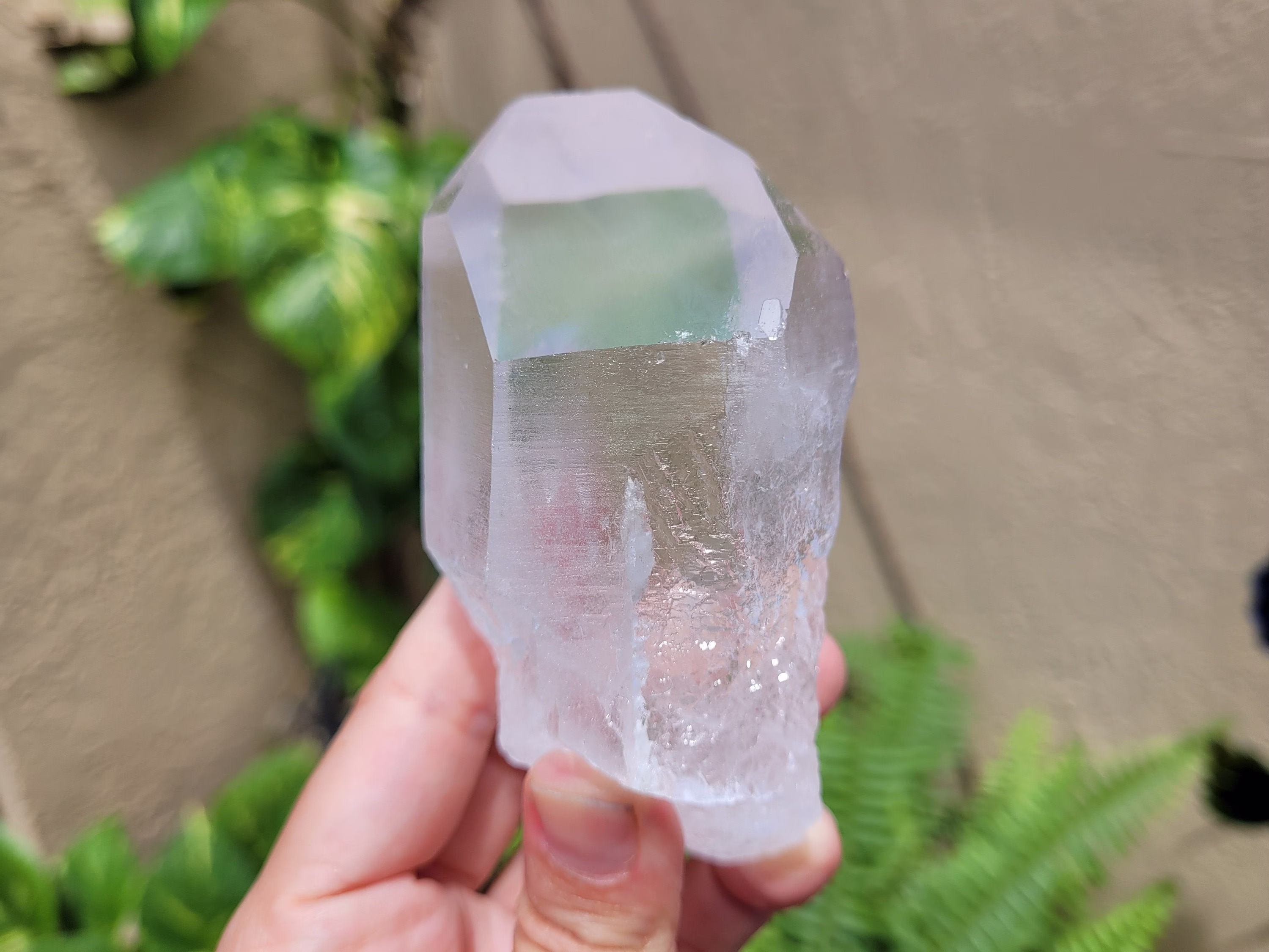 Lemurian Seed ~ Lq14 Natural Clear Quartz Point Brazil