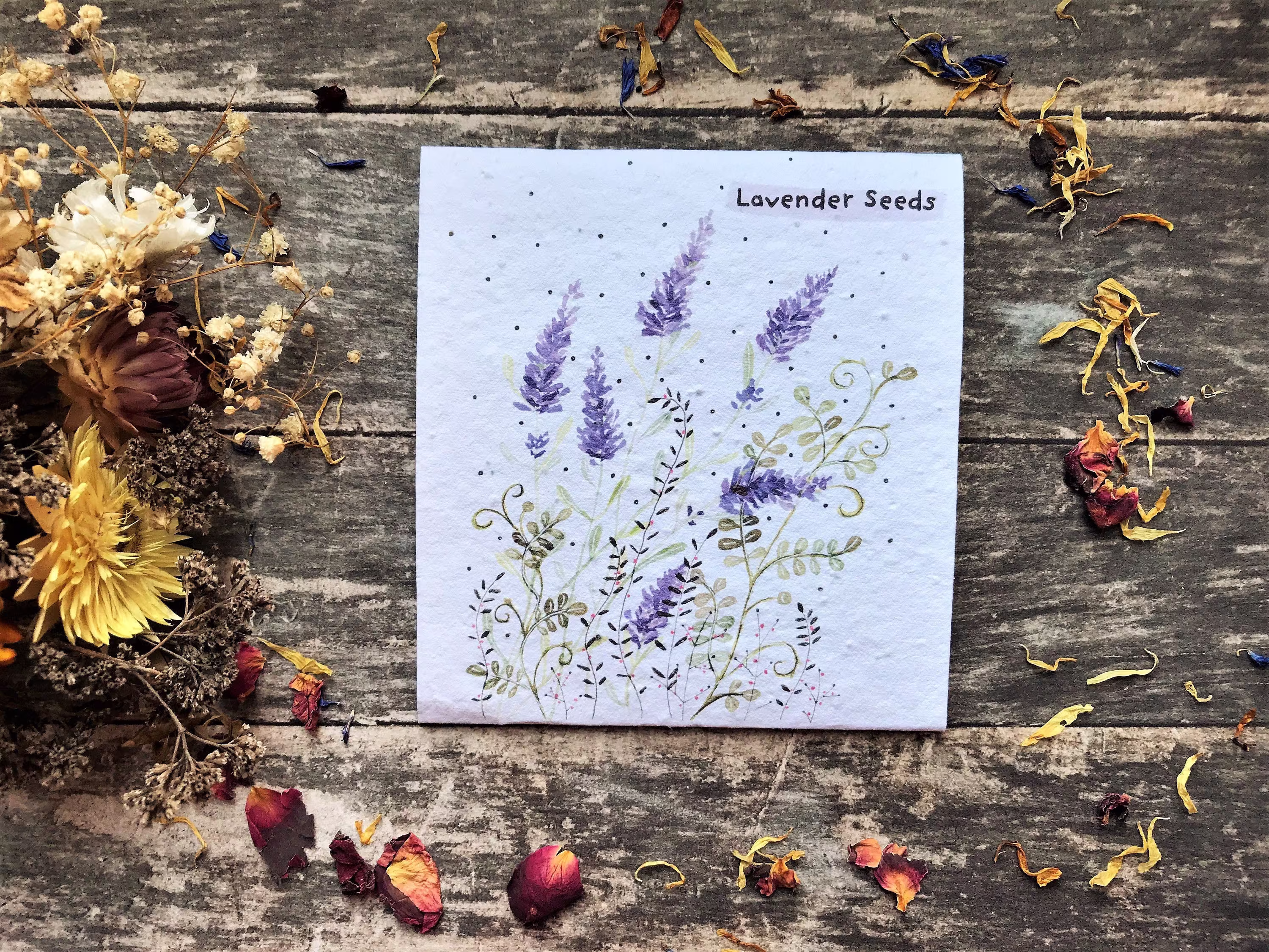 Pack Of Lavender Seeds, Illustrated Gift, Quirky Illustrated Nature Inspired Gifts, Grow Your Own Flowers Gift, Birthday Gift, Mother's Day Gift