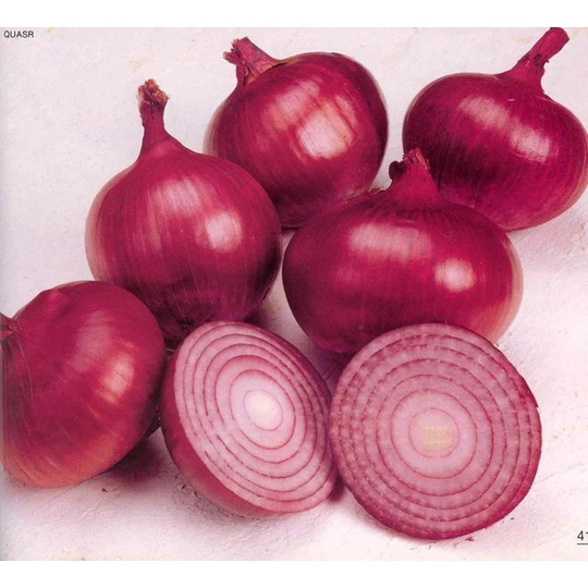 Onions Veselka Seeds Heirloom Non Gmo For Planting | 201121
