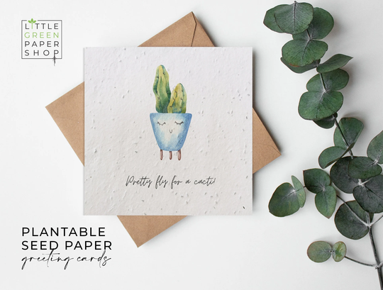 Plantable Flower Seed Paper Cards - Funny Birthday, Congratulations, Well Done, Pun, Joke, Friends, Family, Eco-Friendly, Biodegradable