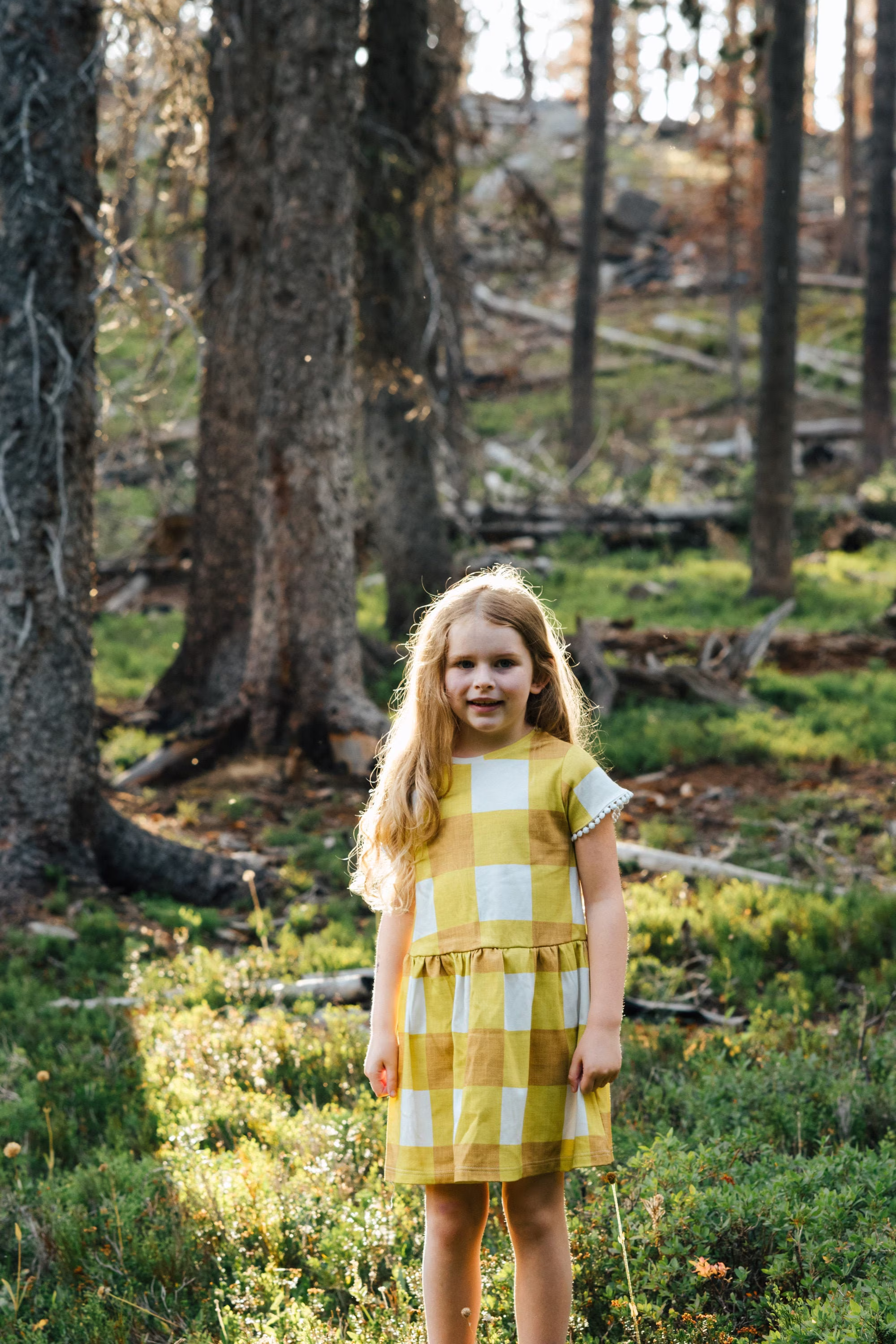 Girls Mustard Gingham Dress/Organic Girls Toddler Twirl Clothes Fall Clothing Baby