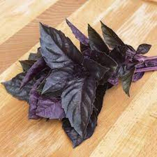Opal Basil Seeds, Us Heirloom Non Gmo Organic, Free Seeds With Order