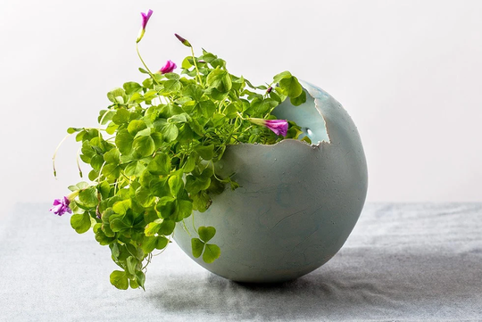 x-Large Sky Blue Contemporary Ceramic Planter, Round Vase For Succulent, Cacti & Flowers