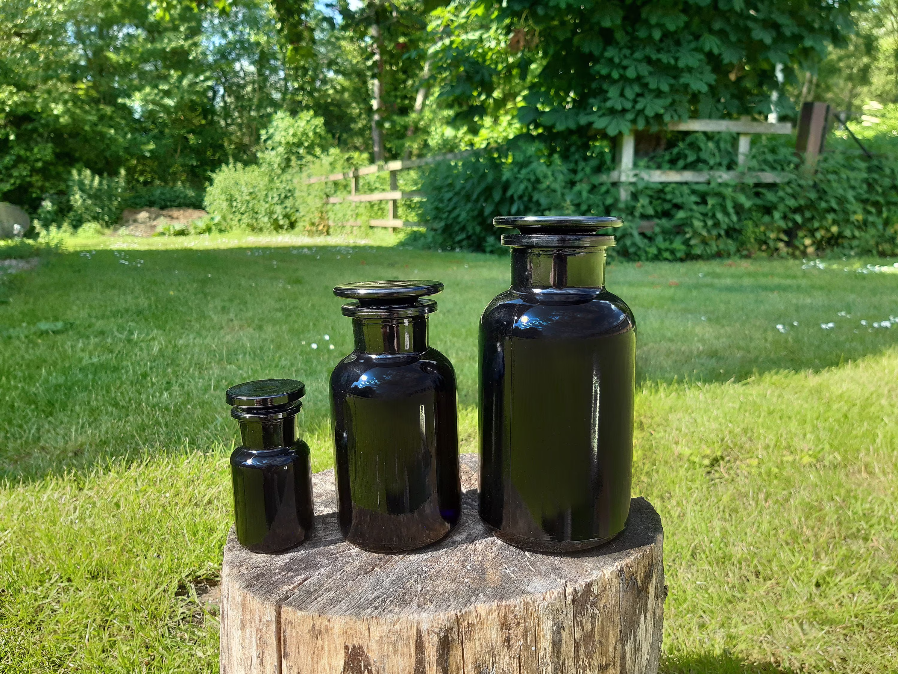 Apothecary Jar - Miron Glass | Dark Violet 500 Ml/250 Ml/50 Ml Ultimate Storage