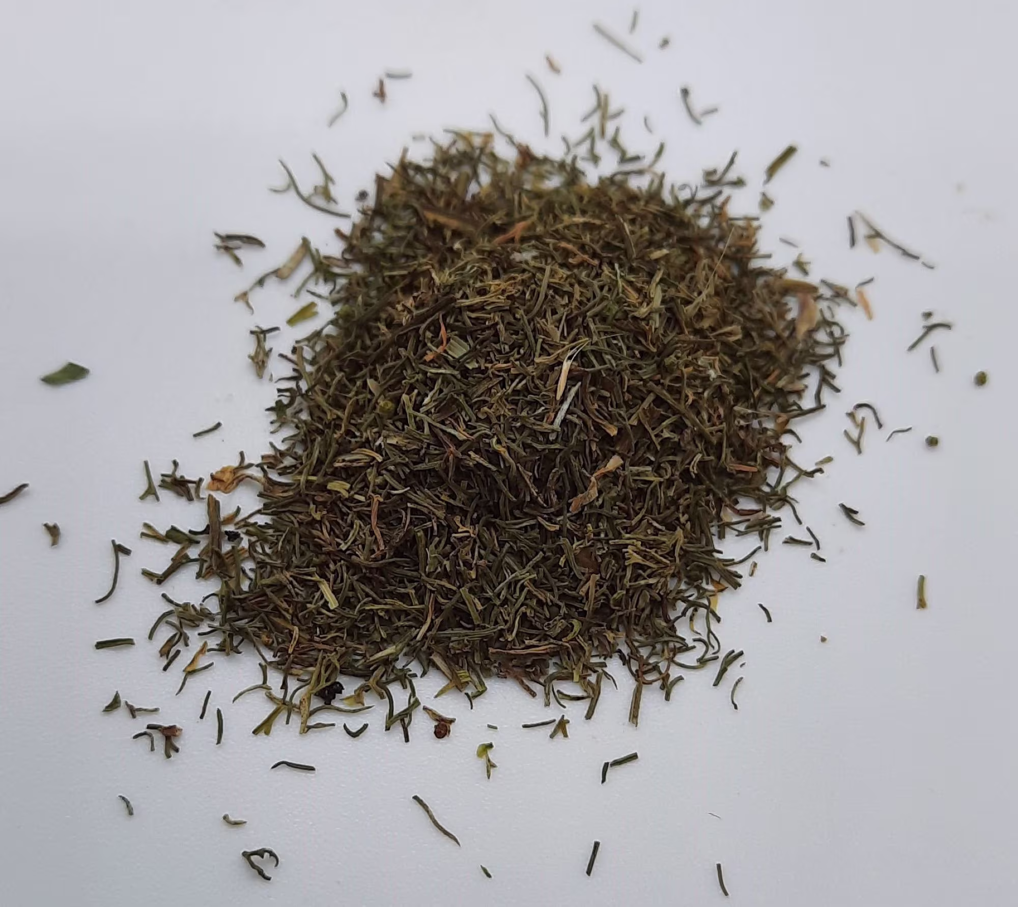 Organic Dill | Anethum Graveolens