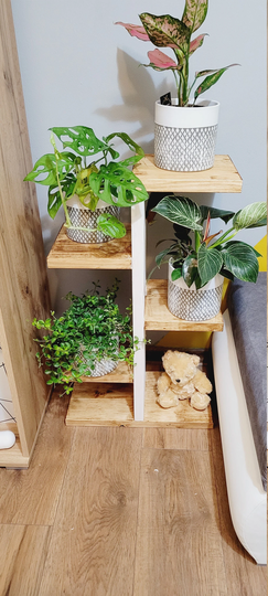 Rustic 6 Tier Ladder Wooden Solid Plant Stand Shelf Pot Holder Tall Display Flower Indoor Planter Shelves