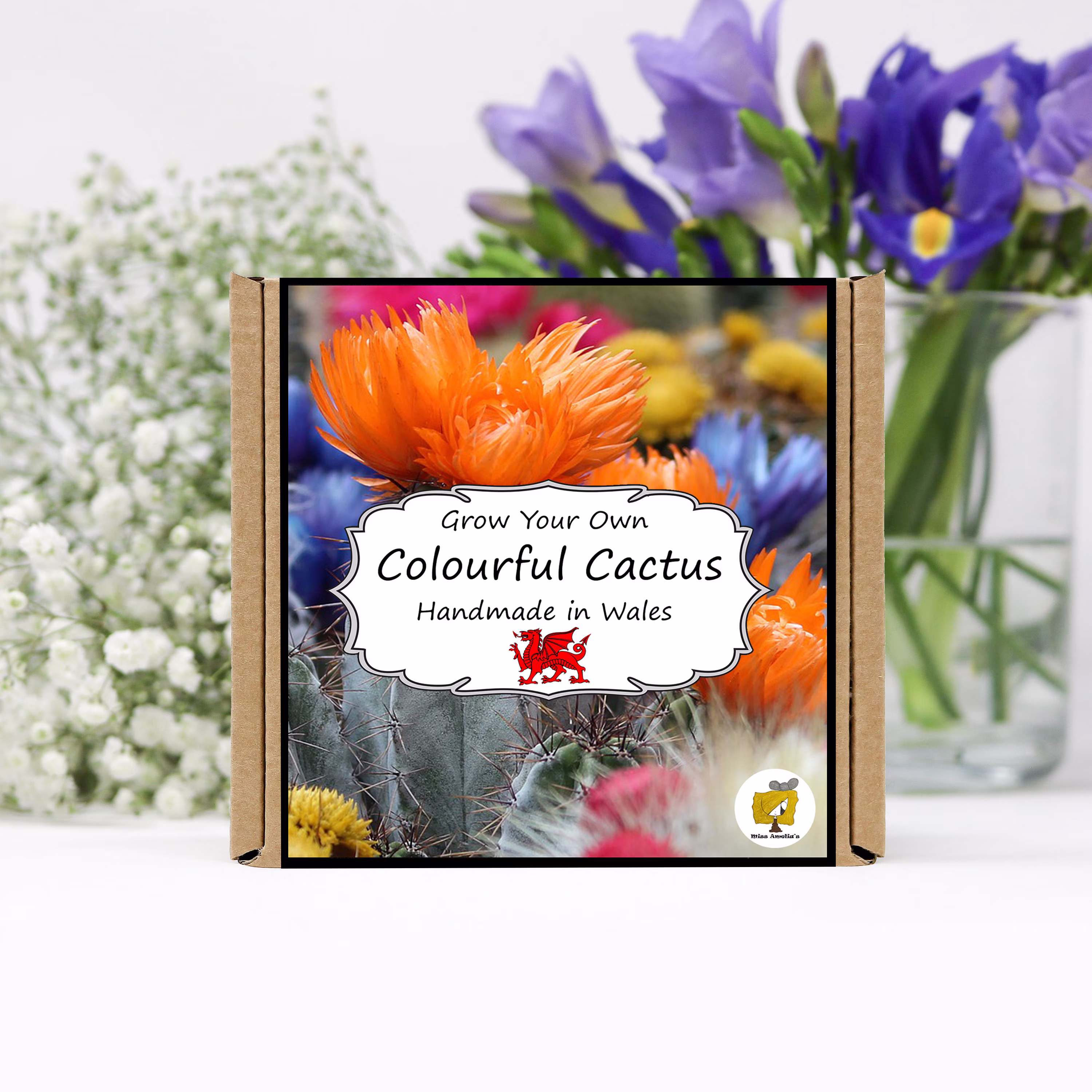 Grow Your Own Flowering Cactus Plant Kit. Seeds Growing Kit. Gardening Gifts For Women, Men, Him, Her, Grandad & Children