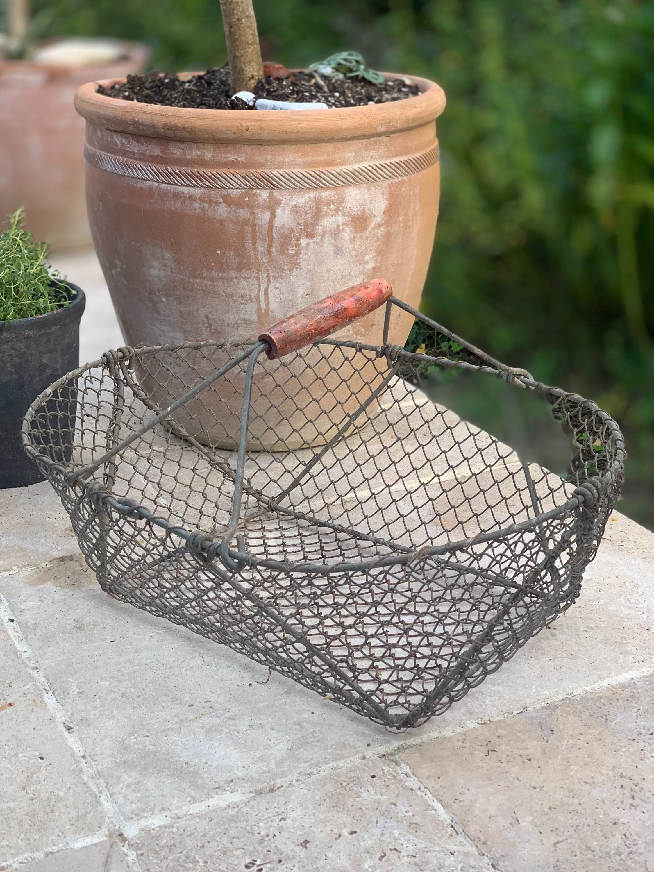 Lovely Antique French Wired Harvest Basket Storage Kindling