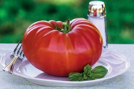 Vegetable - Tomato Gigantomo F1 10 Finest Seeds