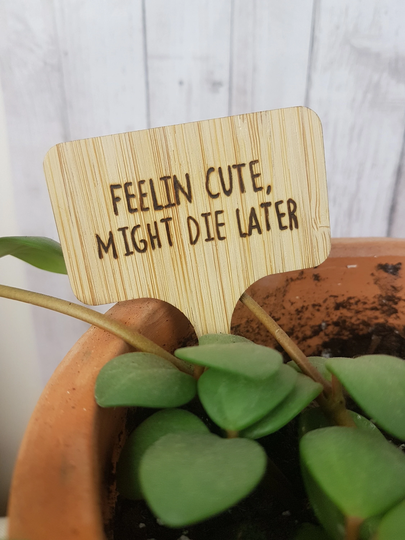 Personalized Plant Tags, Plant Theme Decor, Funny Sign, Birthday Gift For Friend, Her, Poke, Gift Add On Idea