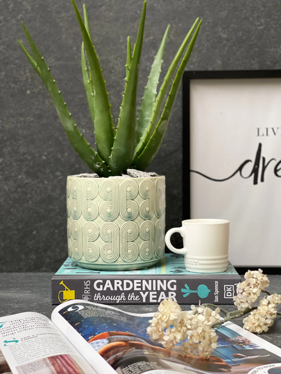 Sky Blue Retro Circles Glazed Ceramic House Plant Pot Cover, Geometric Design, Indoor Succulent Planter