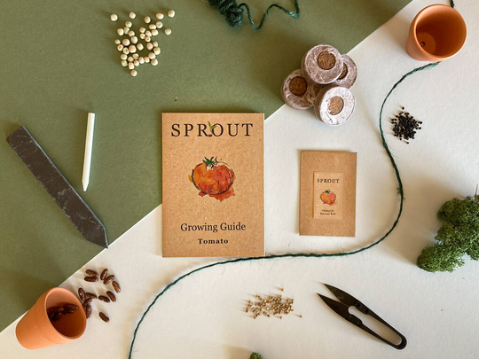 Grow Your Own Tomatoes Starter Kit