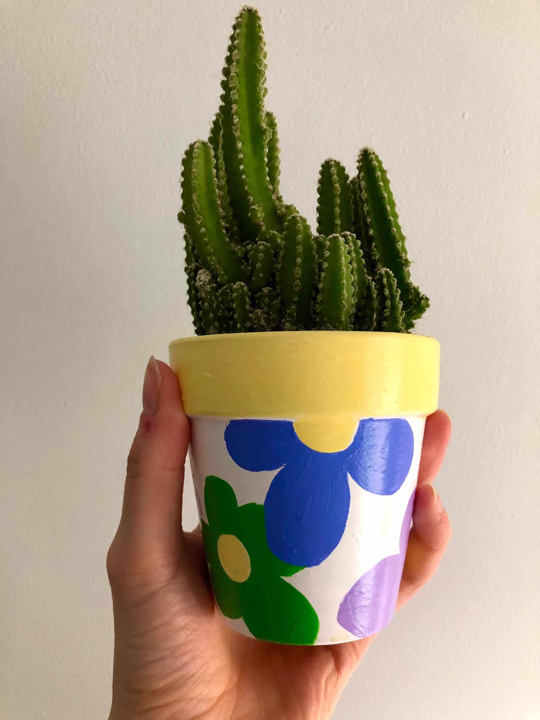 Hand Painted Mini Terra Cotta Pots