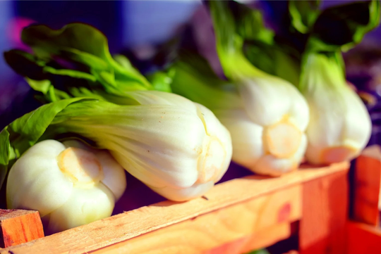Pak Choi Cabbage Seeds For Planting - Choy Heirloom, Non-Gmo Vegetable Variety- Ships From Iowa, Usa Bok