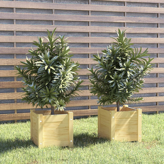 Asupermall - Garden Planters 2 pcs 31x31x31 cm Solid Pinewood