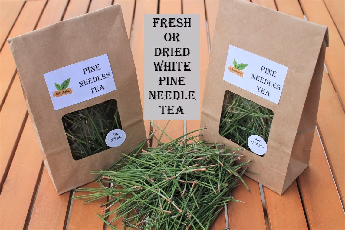 Pine Needle Tea | White Needles Bulk 1 Oz To 4 lbs Wildcrafted For Fresh