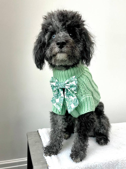 Powder Blue/Peppermint Cosy Knit Dog Jumper