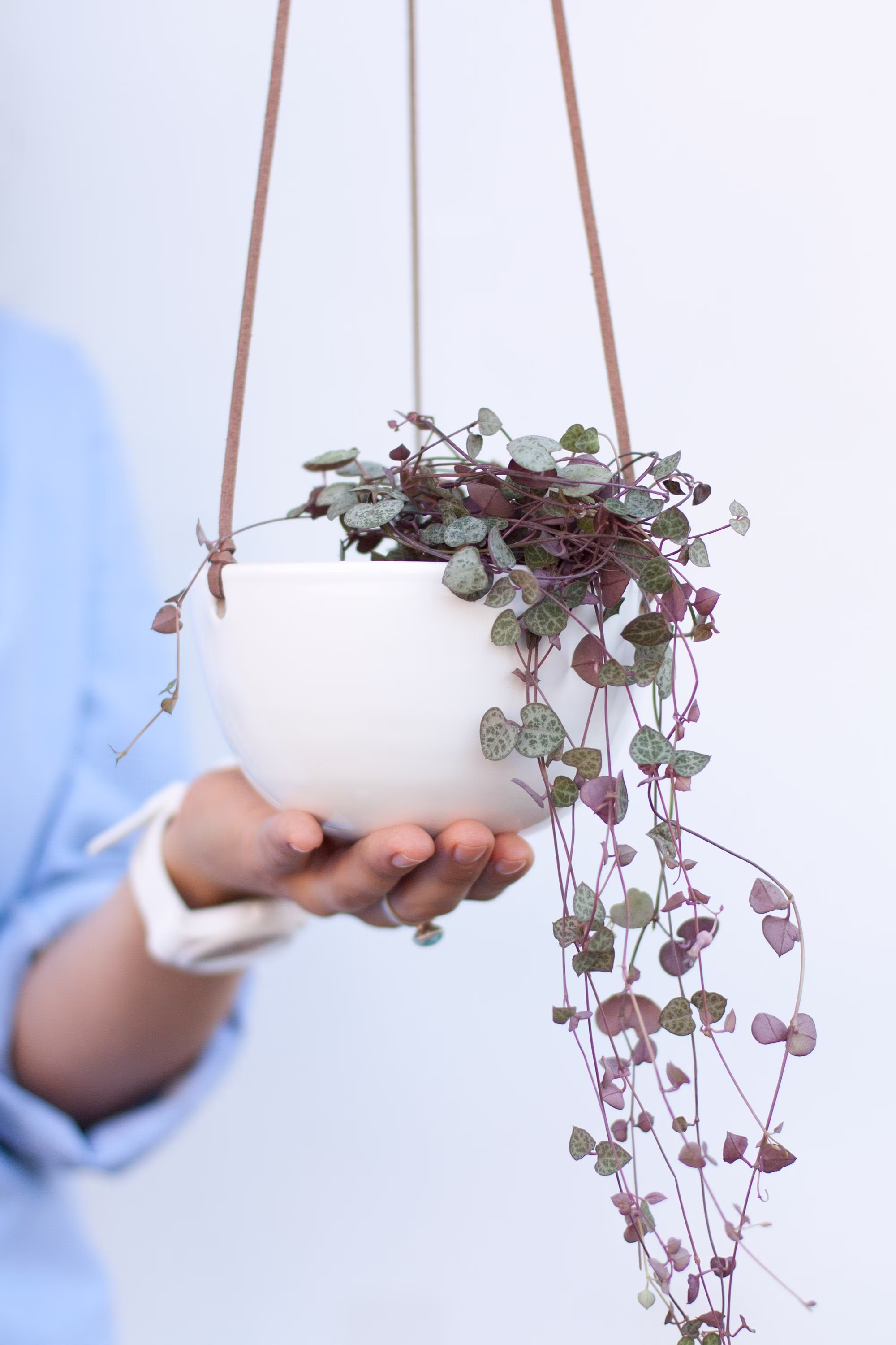 Hanging Planter, Home Decor, Ceramic Hanging Planter Indoor, Plant Pot, Hanger, Minimalist Flower Succulent Holder